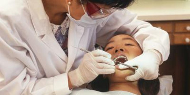 Dental Schools in Chicago That