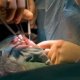 Dental Implant Academy