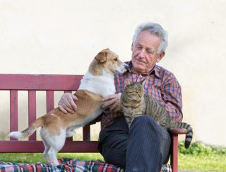shutterstock_MAN WITH CAT AND DOG ON BENCH
