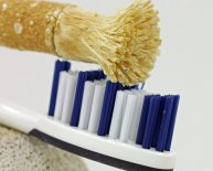 Article on oral hygiene