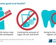 Dental Health Facts