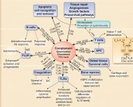 Oral Health and systemic disease